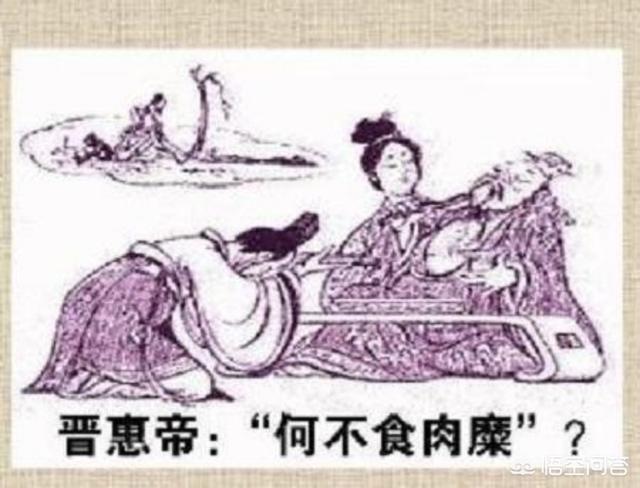何不食肉糜:“何不食肉糜”是什么意思？你怎么看这句话？