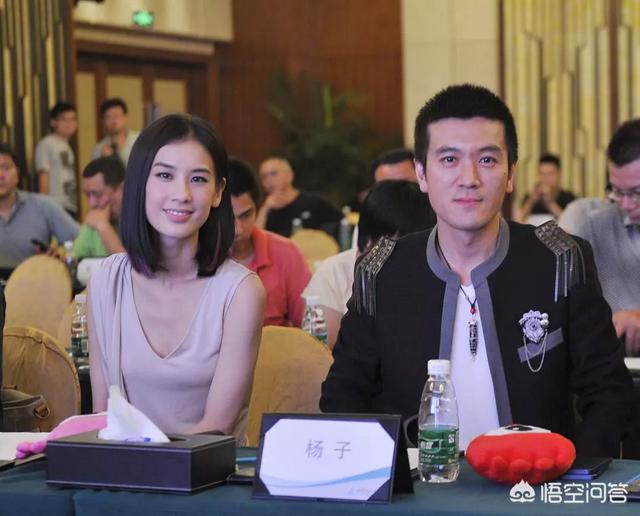 杨子背景:娱乐圈哪些明星真正有封杀他人的能力