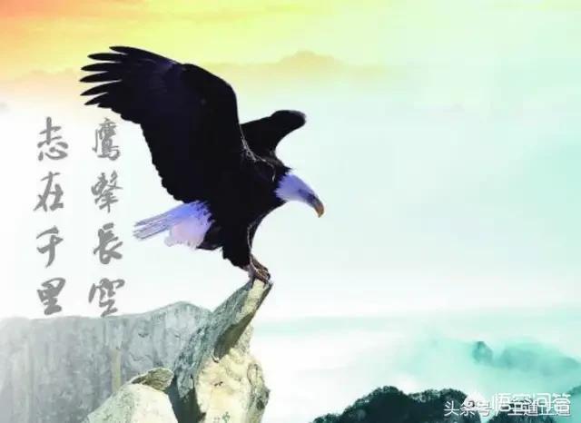说出你认为最有气势的诗句？