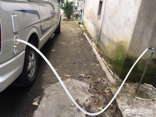 东莞一环卫工每天带宠物鸭扫大街:北京自驾周边游，带狗的有好去处吗？