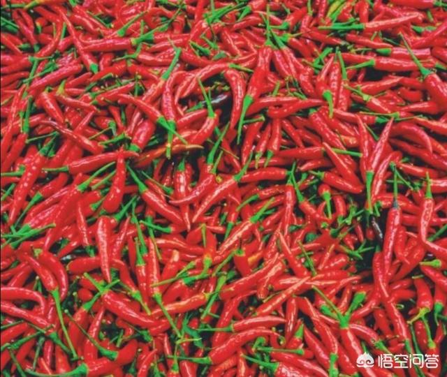 每亩辣椒多少钱，种植辣椒一亩可以挣多少钱哪种辣椒的亩产高亩产可以达到多少