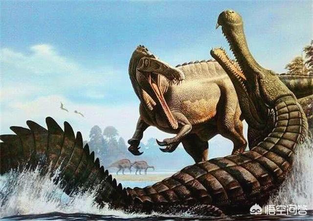远古蝾螈图片:中华蝾螈图片 远古时代地球霸主恐龙，是否是群居的？