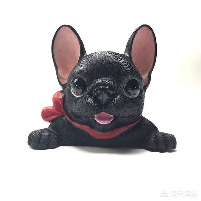 法牛犬:法斗犬除了喜欢会舔人，还有什么原因让它舔人吗？