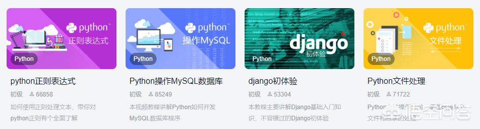 Python小白应如何入门(小白学python应该怎么学)