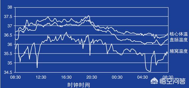 身体热的症状:为什么晚上睡觉会觉得热，然后踢被子，可是早上却会被冻醒？