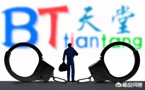 “BT天堂”站长侵犯著作权获刑三年,被罚八十万元,你怎么看？