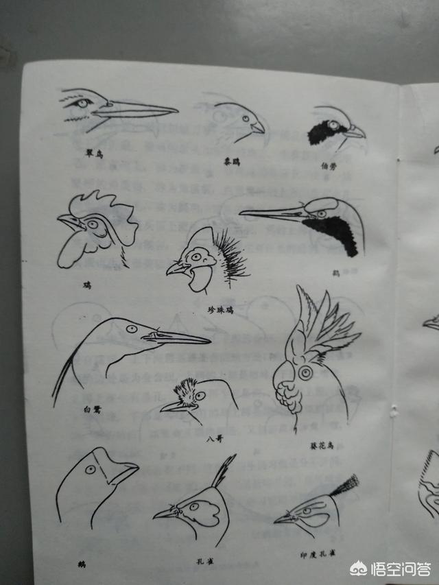工笔花鸟:画国画花鸟用什么纸比较好？