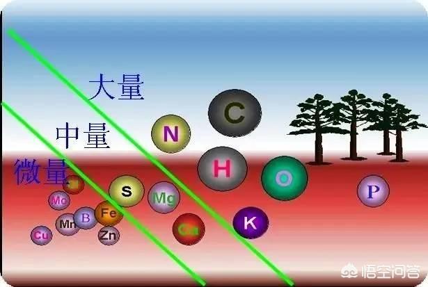 种植水稻补锌技巧，农村种植水稻，肥多稻谷谷穗容易空壳是怎么回事