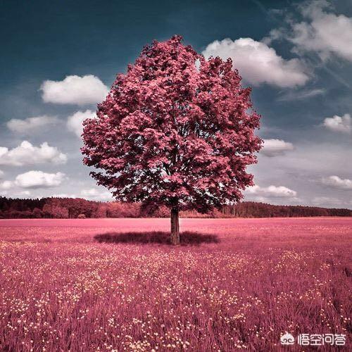茶叶在哪儿买比较划算？