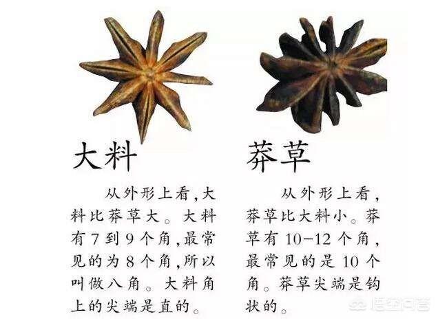 历史上有哪些科学全才？