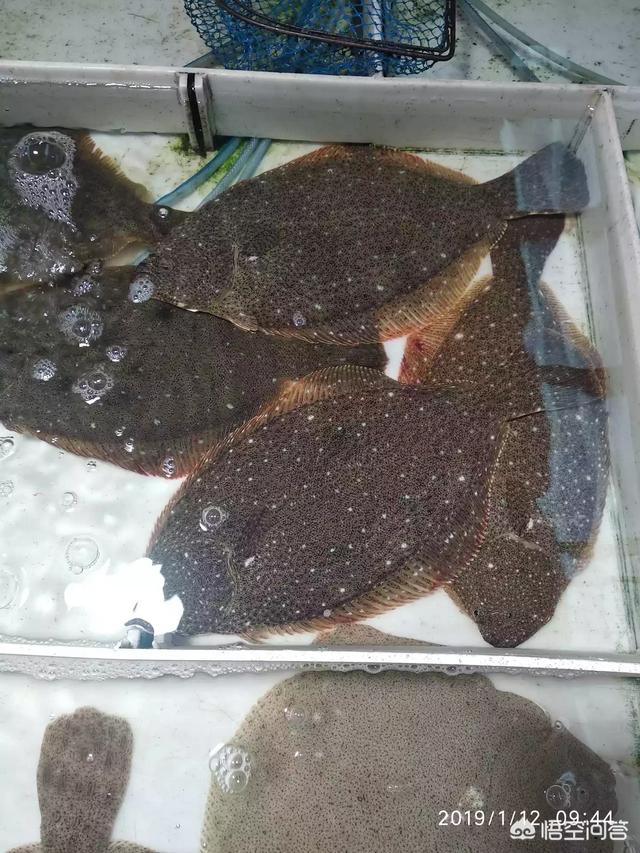 你觉得哪些食材做法简单却很好吃?