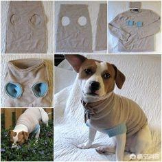 小狗狗的衣服做法图解:小狗狗鞋子的做法图解 如何自己动手DIY为心爱的宠物制作衣服？