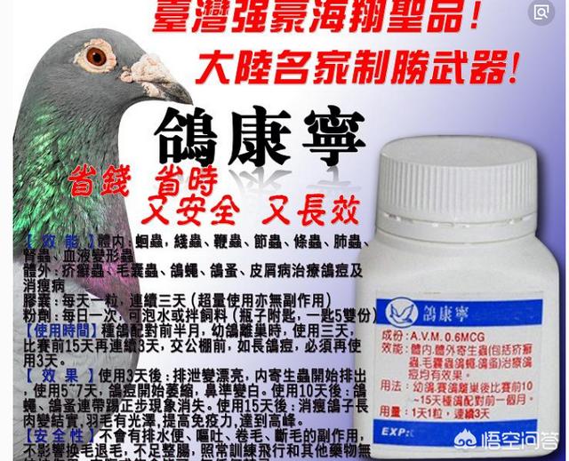 肠虫清能直接喂鸽子吗，给鸽子吃氟哌酸能打虫吗？