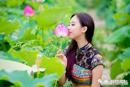 藕是莲的茎还是根:藕是莲花的根，还是荷花的根呢？