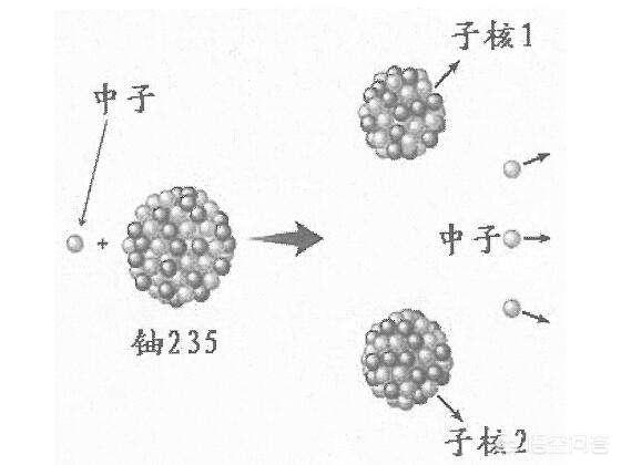 日本核辐射:日本发生核泄漏，泄露的铀和钚哪个危害更大