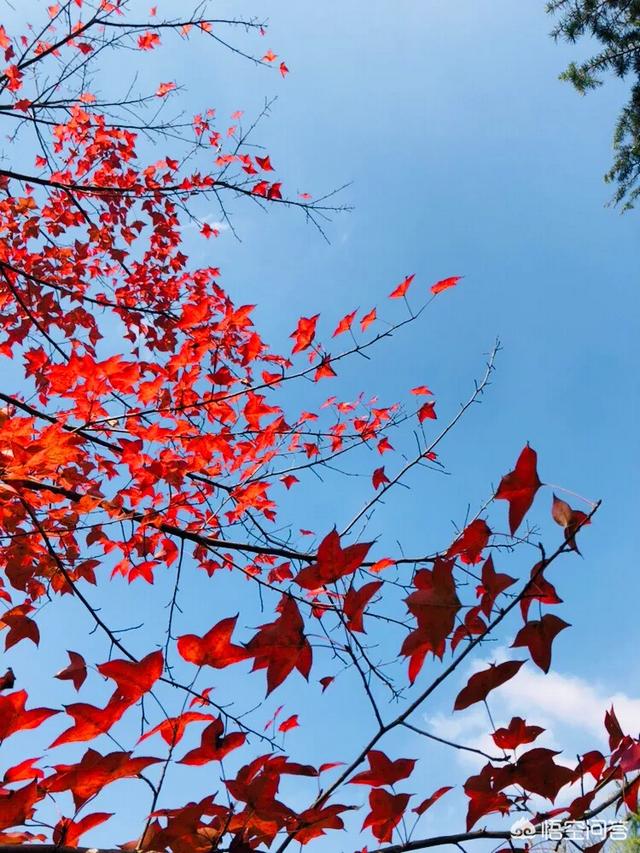 微信红包群挖词:怎样对待群里过年发红包只抢不发的人，你的群里有这样的人吗