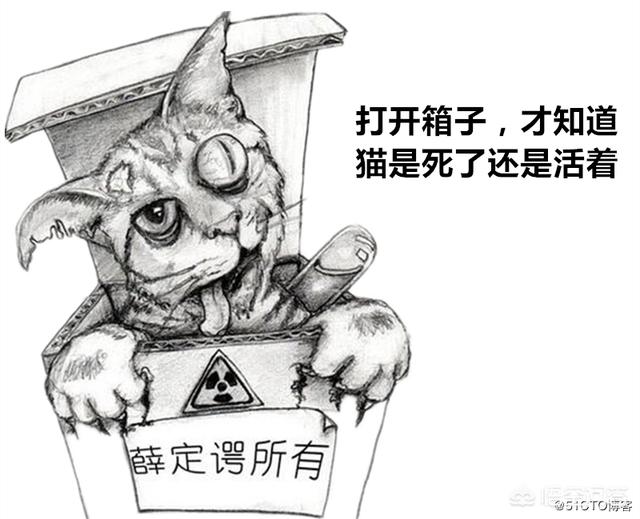 大型动物交配全过程:老虎是独居生物，怎么找到交配对象？