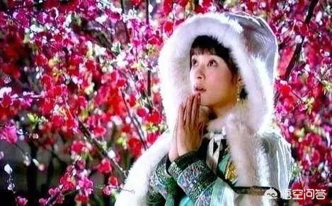曾甑:《甄嬛传》中甄嬛巴不得落选，太后拿猫试探，甄嬛为何不躲呢