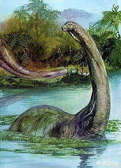 恐龙都比如今的大象的个头还要大,特别是蜥脚目中的梁龙类和泰坦龙类