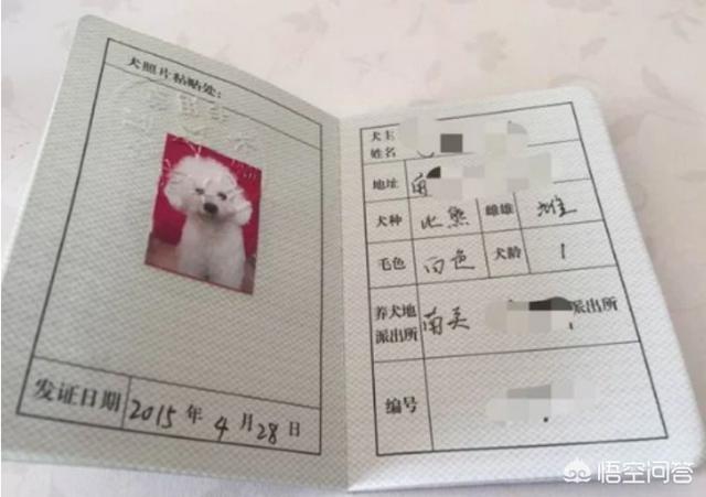 申生宠物医院办狗证:应该去哪个部门办理狗证？需要注意哪些问题？