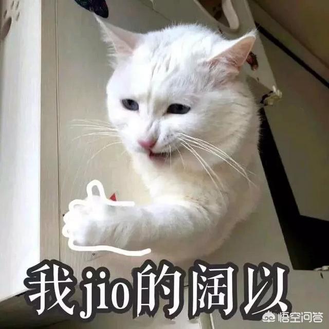 如何优雅又文艺地发一条朋友圈？