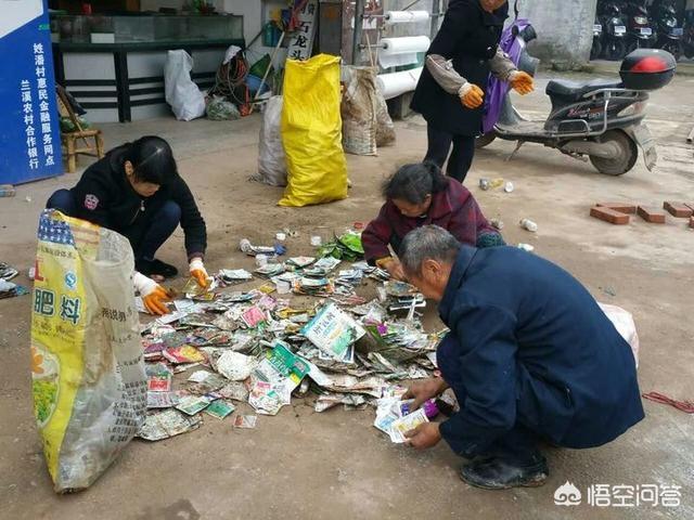 新上盆的玫瑰发芽了，可以把塑料袋去了吗