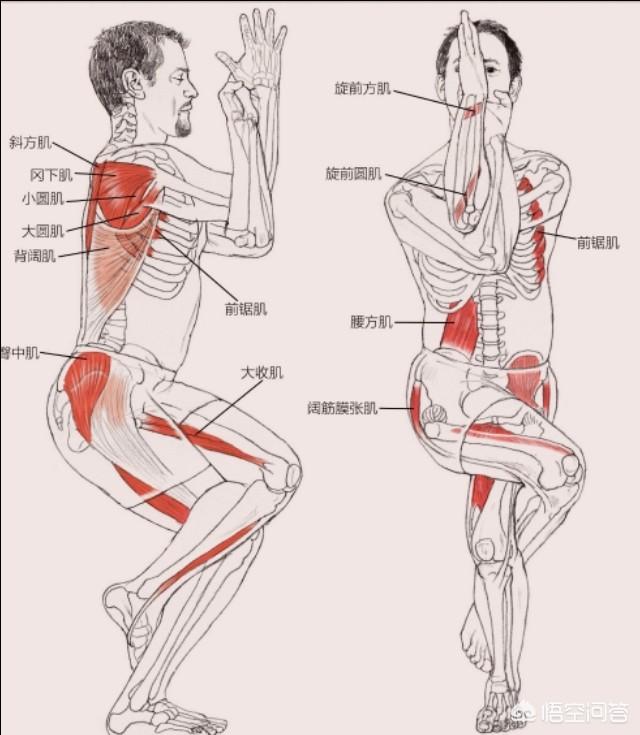 大腿如何拉伸图解图片