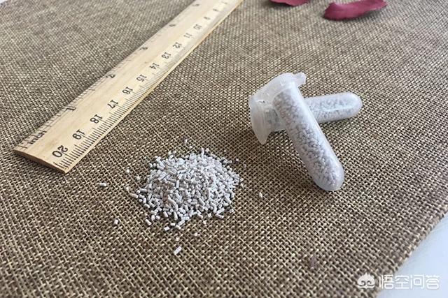 多肉酒精去介壳虫:酒精杀介壳虫吗 多肉植物长小白虫，怎样全部去除？
