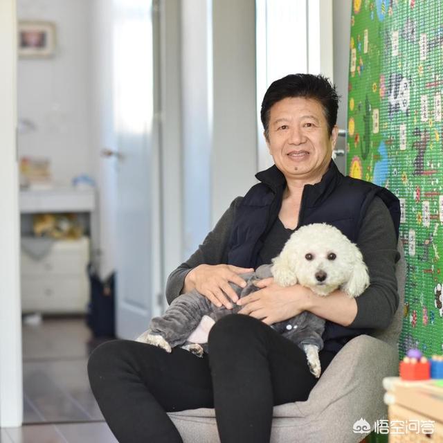 养狗这件事的主题曲:你喜欢养狗狗吗，为什么？ 养狗相关的主题曲