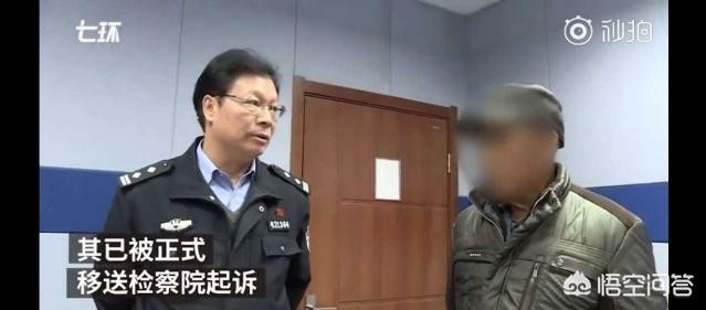 捕鸟网:果农装网护果园致猫头鹰粘网死亡，将被起诉，你怎么看？ 捕鸟网图片大全