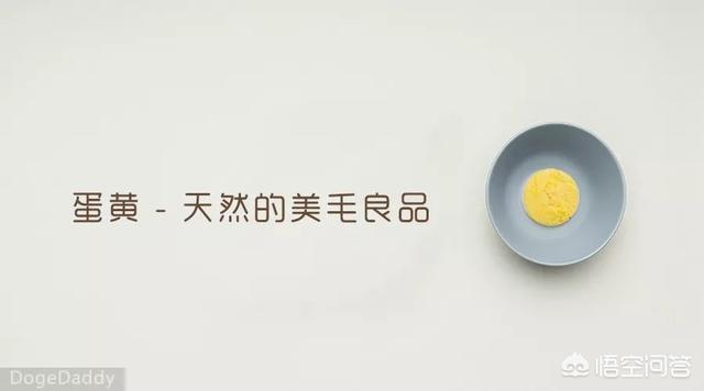 世界最丑宠物狗大赛:狗狗会在什么时候开始爆头？ 最丑的宠物狗品种大全