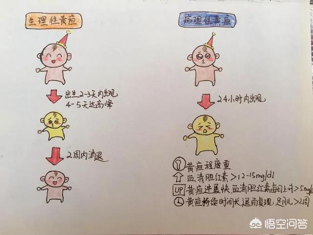 新生儿得黄疸住进了重症病房,一天花掉六千,正常吗？