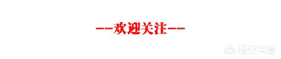 刘强东不予起诉和无罪释放是怎么回事？