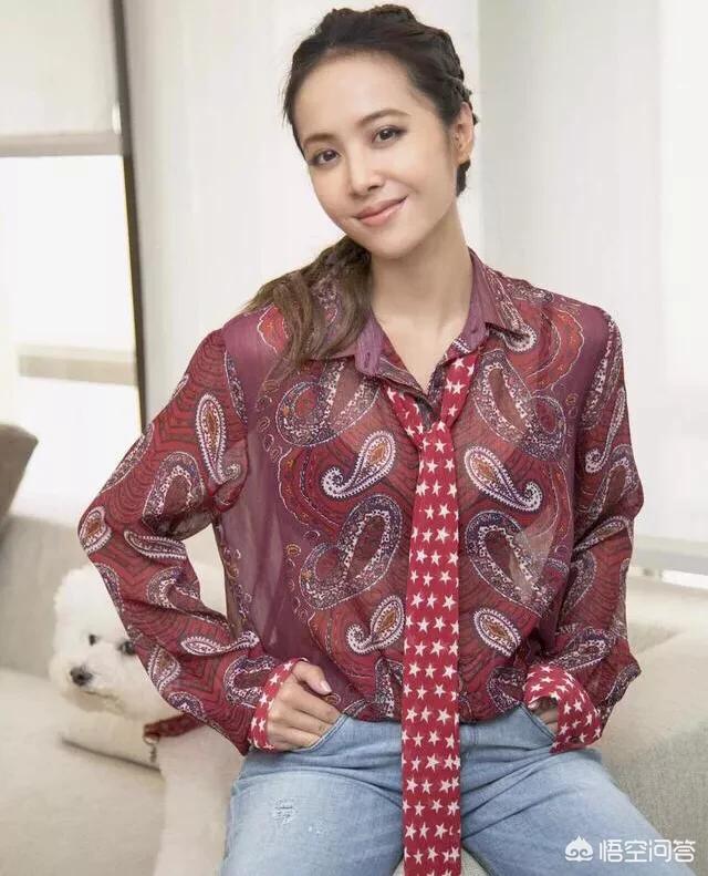 蔡依林的狗狗屋虎:蔡依林出道20年，时隔四年在再出专辑，还能创造佳绩吗？