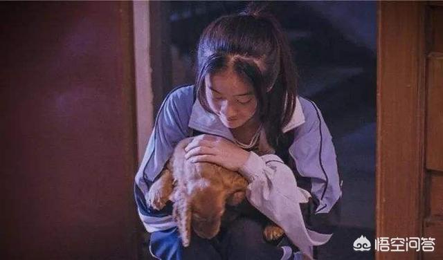 改变世界的犬类纪录片:有什么狗狗是体质比较好、不容易生病的？