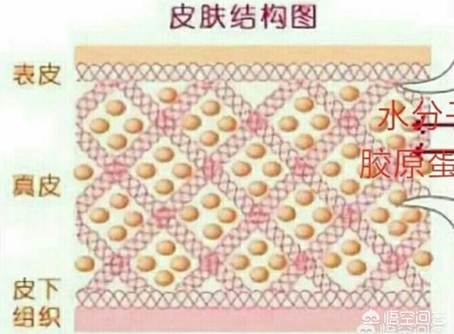 水谷雅子:女生如何让肌肤变得紧致光滑？