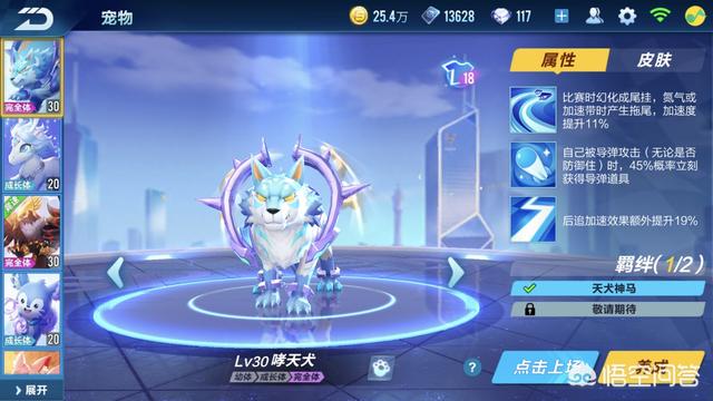 宠物鹰:熬鹰是哪个名族的宠物?他们又有着什么习俗？