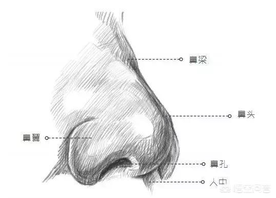 后鼻腔溃疡:鼻腔溃疡是什么原因 什么原因会导致鼻子溃烂？