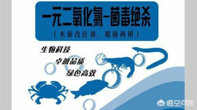 新鱼塘水浑浊怎么处理:新鱼塘水浑浊怎么办 刚挖的池塘在进行水产养殖前，如何消毒杀菌？