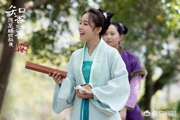 张佳宁张晓龙:如何评价《知否》中张佳宁饰演的如兰？