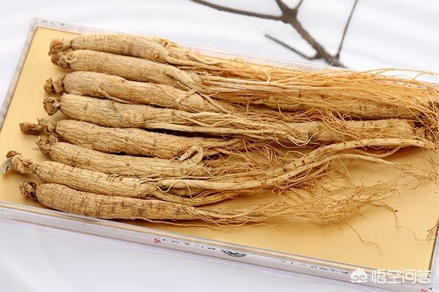 孙俪晒邓超逆生长:人参和黄芪哪个补气作用更好