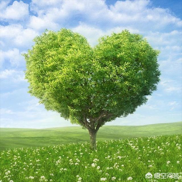 母爱如水、父爱如山,你认为哪个爱靠得住？哪个爱会为孩子付出所有？