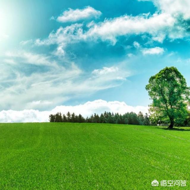 《西游记》里天宫的神仙,哪些是尊称,哪些是官职？