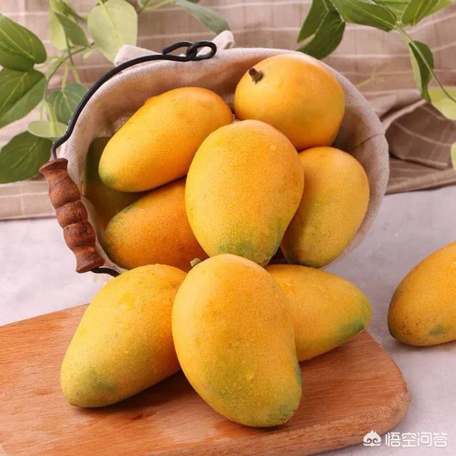 高乐蜜芒果好吃吗，芒果有哪些品种？哪种芒果最好吃？