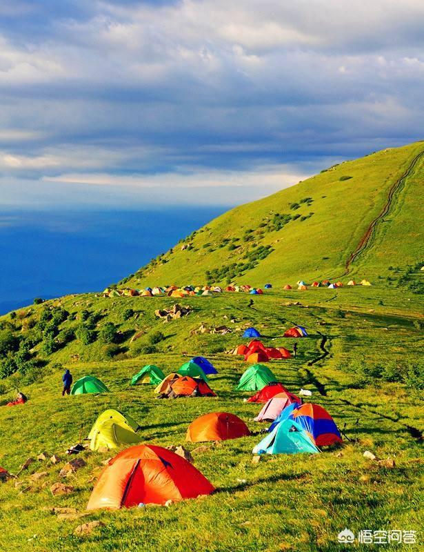 蓝脚鲣鸟一家原图:如果你去一个地方旅游，最想了解的是当地什么？