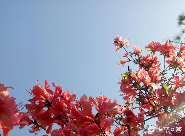 中国古代诗词中有哪些是描述过年的？