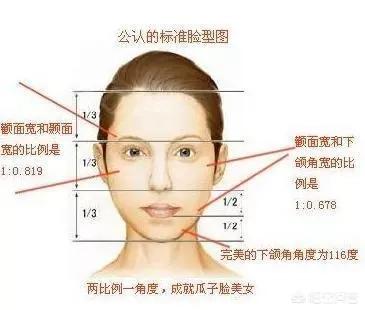 李多海电视剧:李多海在韩国是靠整容出名的吗？