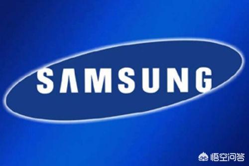 三星为何大到不能倒？插图41