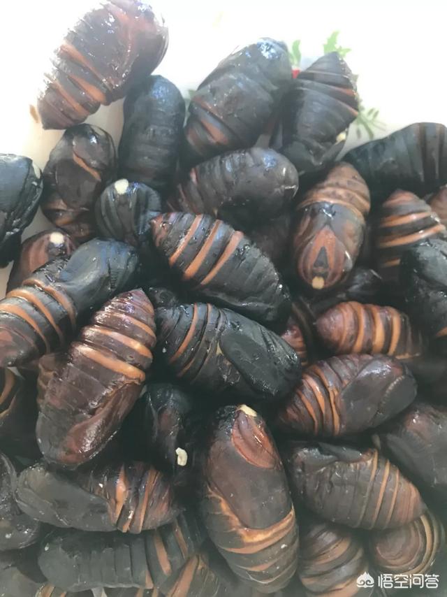 蝉蛹怎么做好吃？