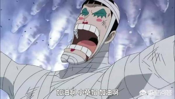 海贼王里面的红鼻子是什么动物:《海贼王》你认为最特别的一个海贼是谁？